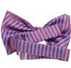 Silk Baby's Bow Tie