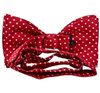 Red silk bow tie with white dots reverse