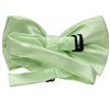 Sea green bow tie reverse