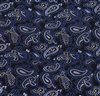 Handkerchief with Verde Paisley