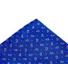 Royal blue pocket square with fuchsia paisley