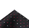 Black Handkerchief with Dots