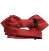 Reverse garnet bogart bow tie