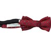 Reverse burgundy boy's bow tie flowers Pitti 326