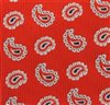 Botti 30 Paisley Tie Fabric