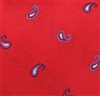 Botti 51 Paisley Tie Fabric