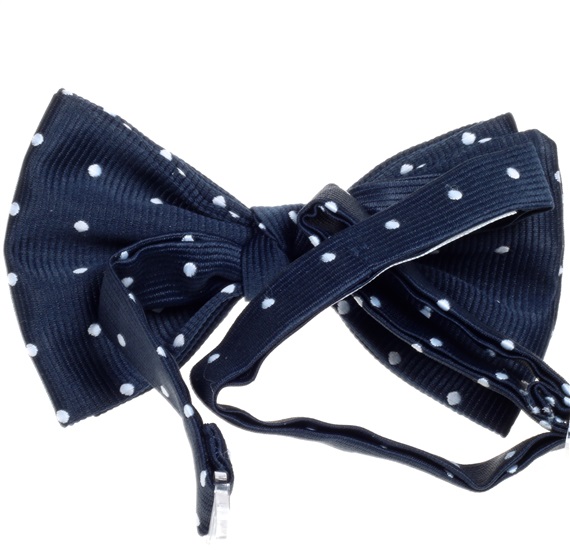 Boy's Blue Bow Tie