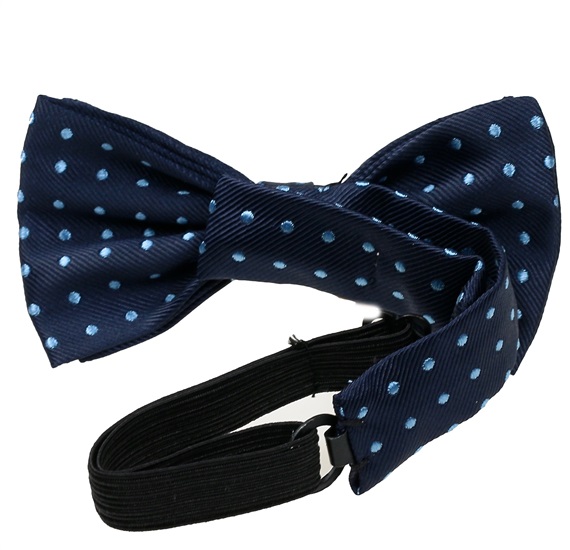 Boy's Blue Bow Tie