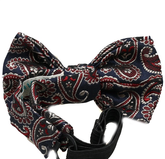 Boy's Blue Bow Tie