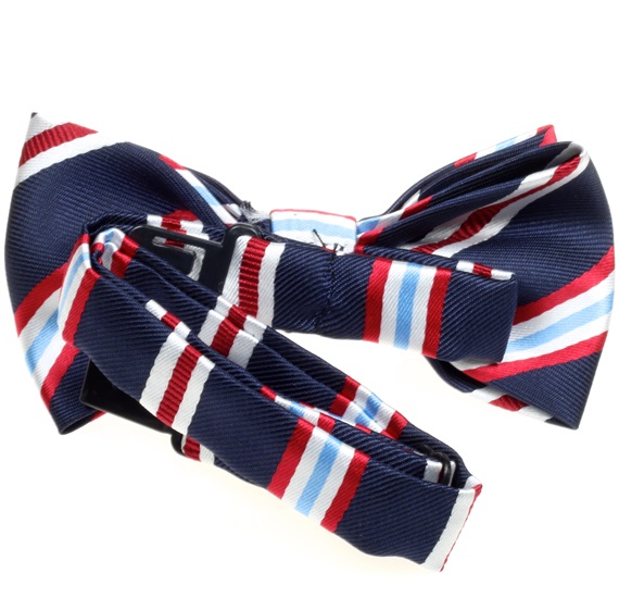 Boy's Stripes Bow Tie
