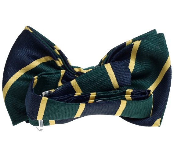 Boy's Silk Stripes Bow Tie