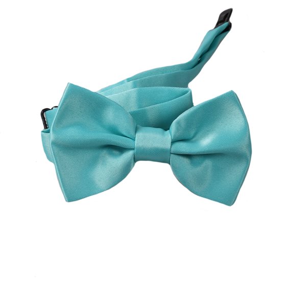 Boy's Turquoise Bow Tie