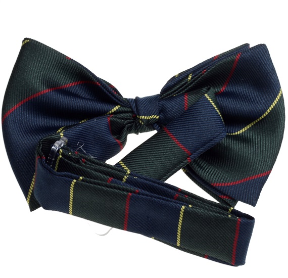 Boy's Silk Bow Tie