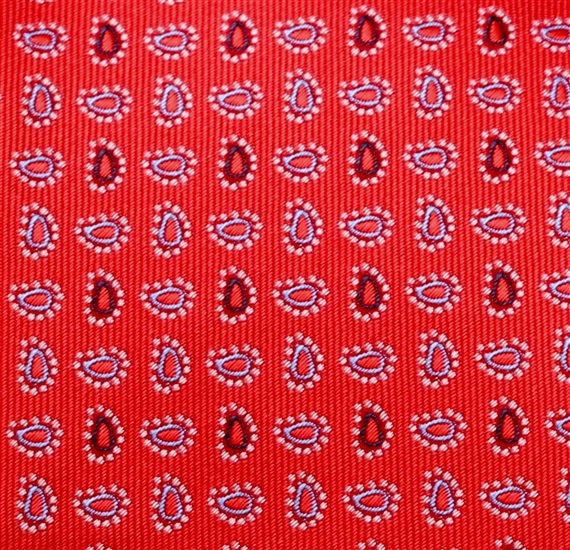 Botti 122 - Paisley Tie Fabric