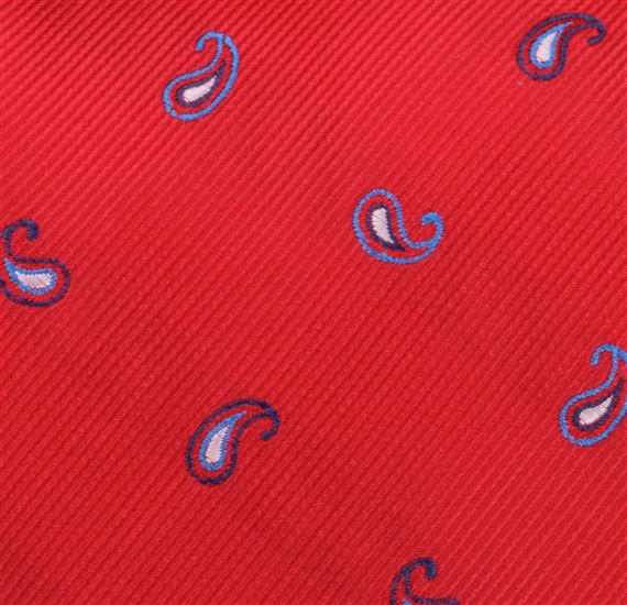 Botti 51 Paisley Tie Fabric