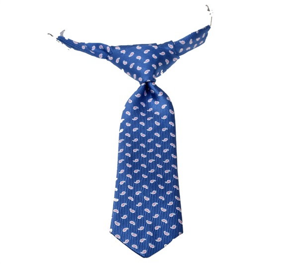 Royal Blue Baby's Tie with Pink Paisley
