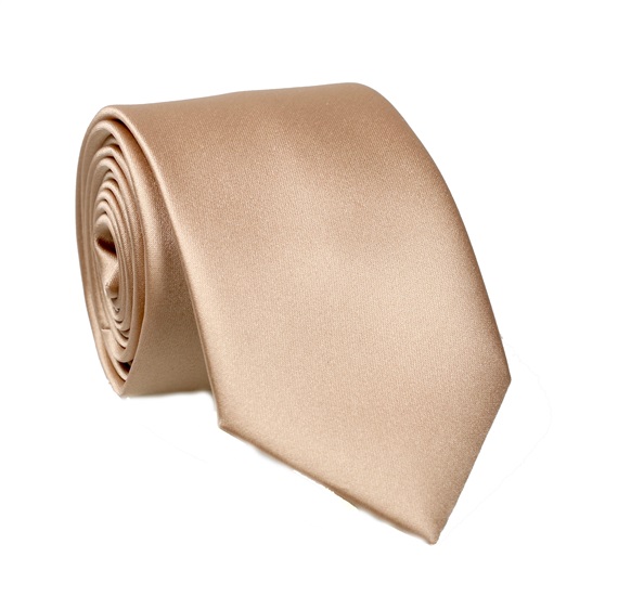Teenager's Beige Tie