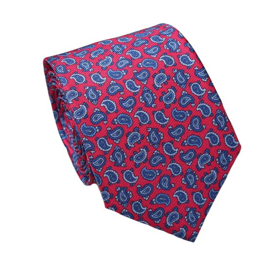 Teenager's Red Paisley Silk Tie