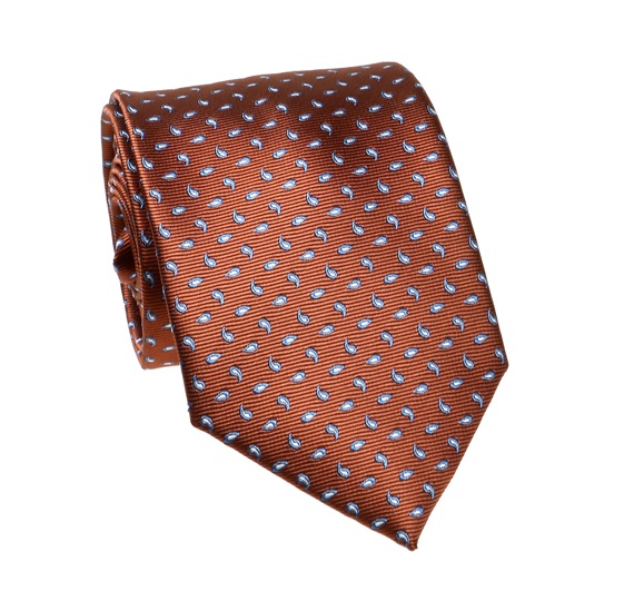 Brown and Blue Paisley Tie