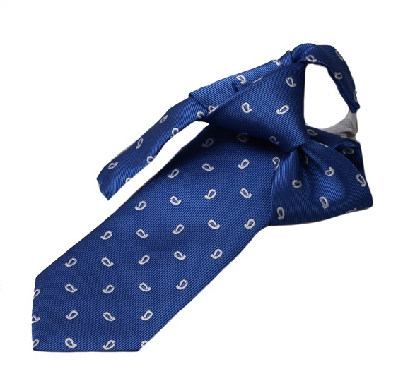 Boy's Royal Blue Tie with White Paisley