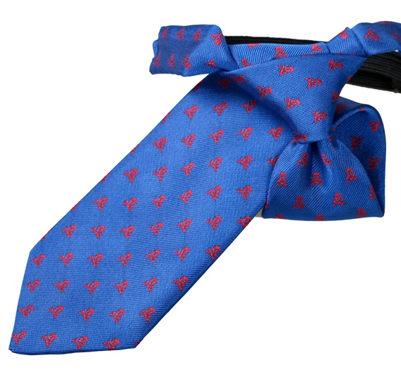 Boy's Royal Blue Tie with Red Skulls