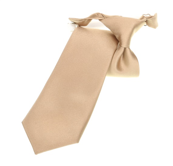 Boy's Beige Tie