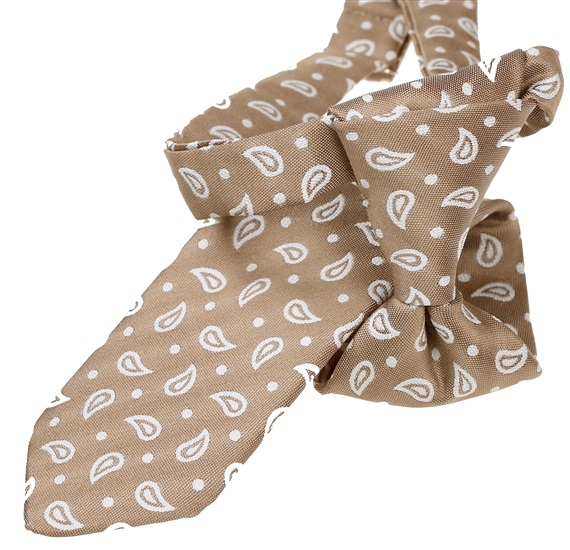 Boy's Beige Paisley Tie
