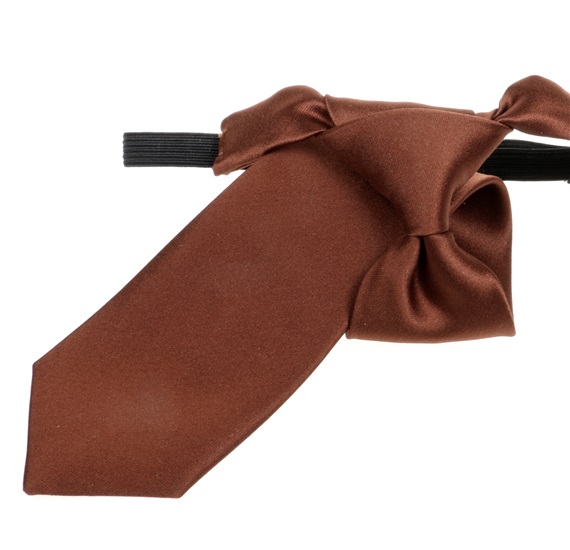 Boy's Brown Tie