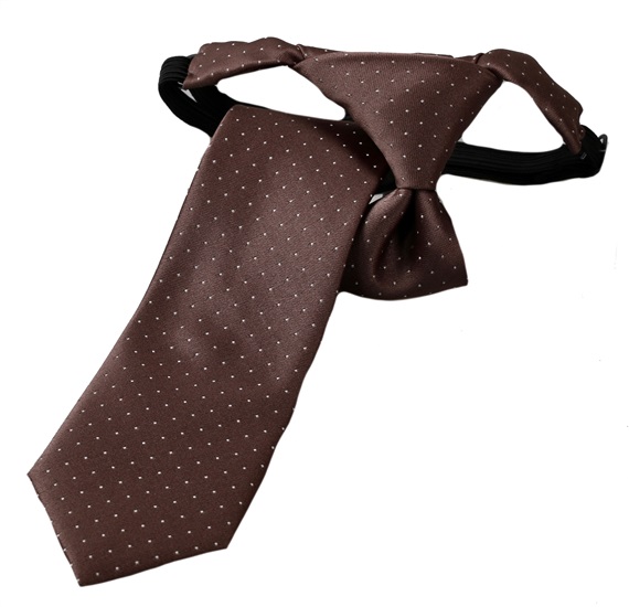 Boy's Brown Polka Dot Tie
