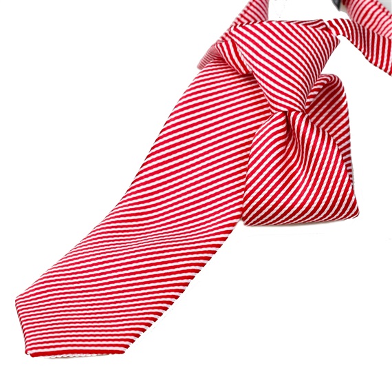 Boy's Red Stripes Tie