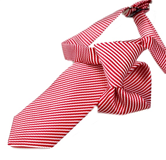 Boy's Red and White Stripes Tie