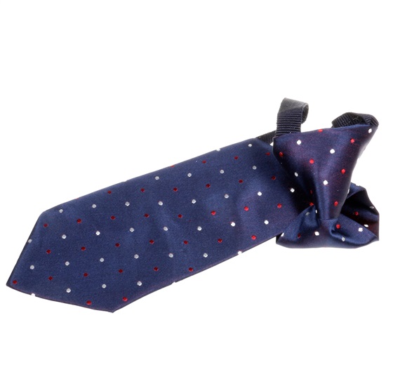 Boy's Navy Blue Silk Tie with Dots