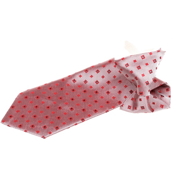 Boy's Garnet Printted Silk Tie