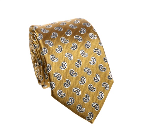 Ocher with Blue Paisley Tie