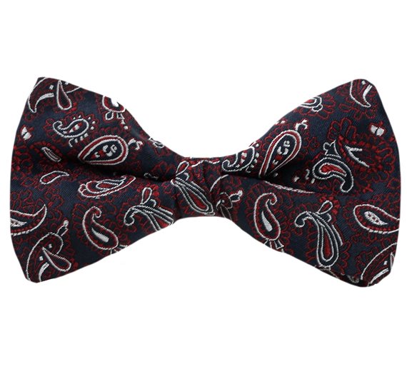 Blue Bow Tie Red Paisley Design