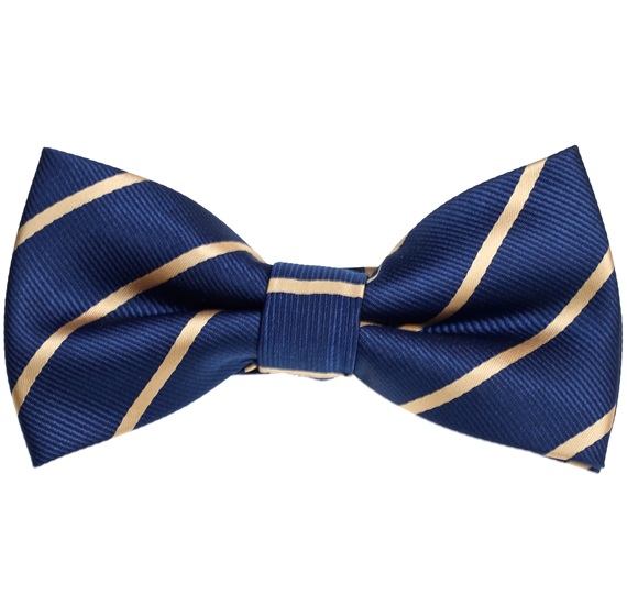 Blue Bow Tie with Gold Stripes