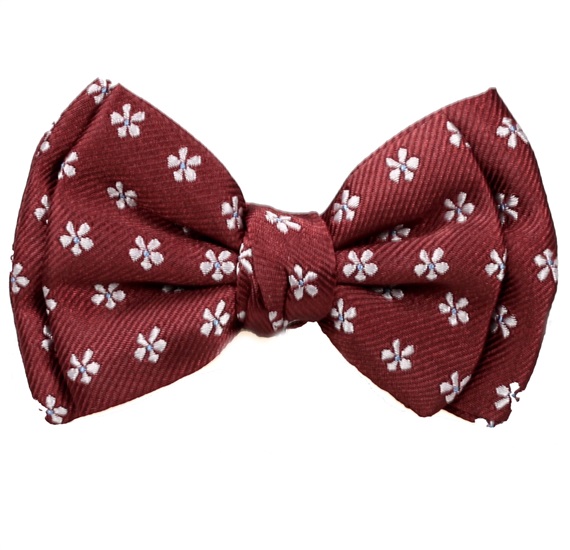 Burgundy Baby's Bow Tie with Daisies