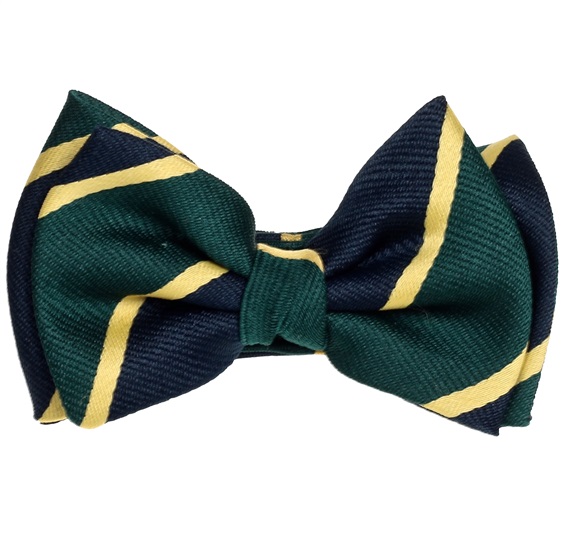 Dark Blue and Green Stripes Silk Baby's Bow Tie