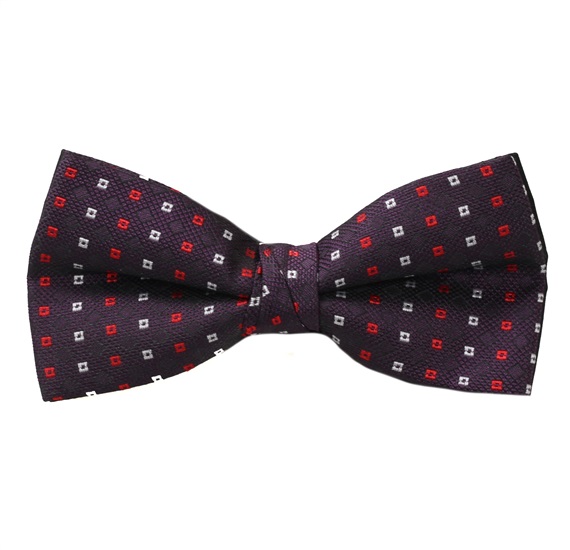 Purple Bow Tie with Drawing
