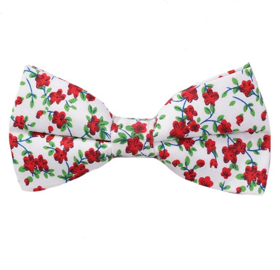 White Bow Tie with Red Flowers