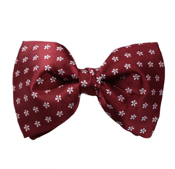 Garnet Bow Tie with Daisies
