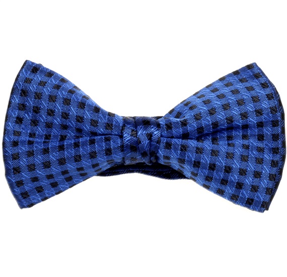 Black and Royal Blue Checked Bow Tie