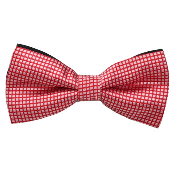 Red and White Checked Bow Tie