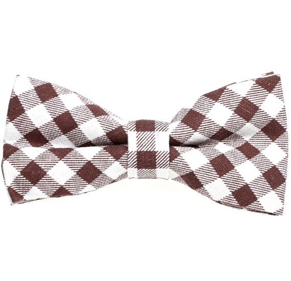 White and Brown Vichy Checks Bow Tie