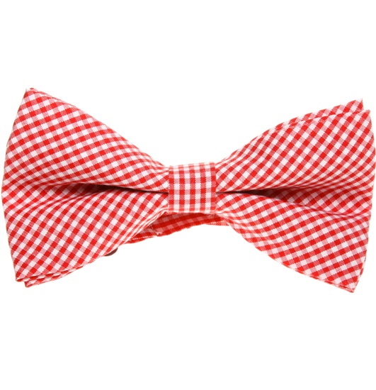 Red and White Vichy Checks Bow Tie