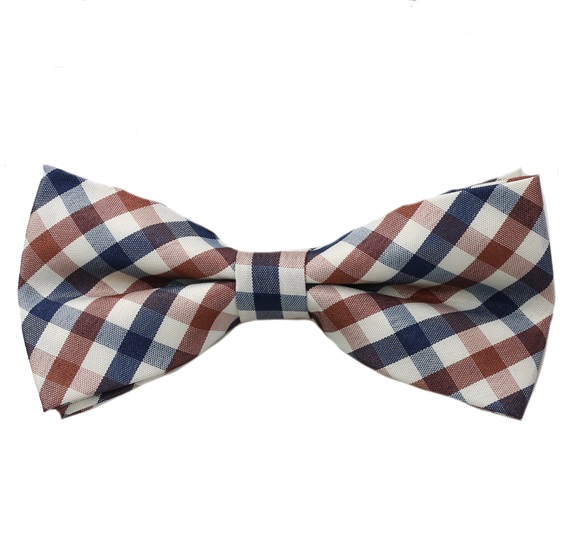 Brown and Blue Vichy Checks Bow Tie