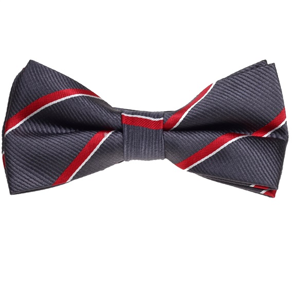 Purple Grey Bow Tie with Red Stripes