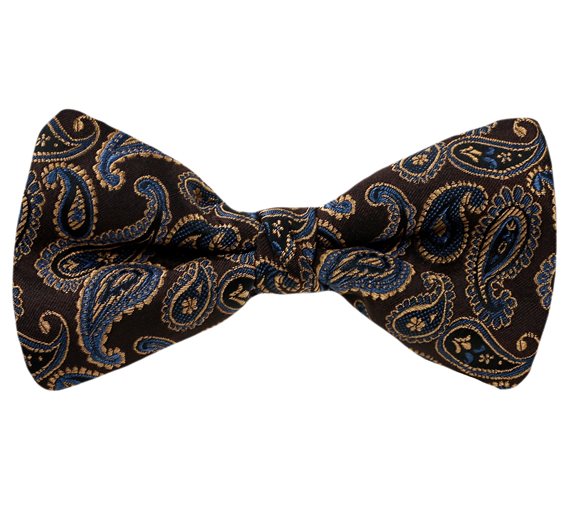 Brown Bow Tie Paisley Design