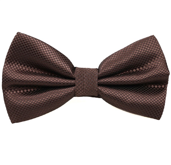 Dark Brown Bow Tie