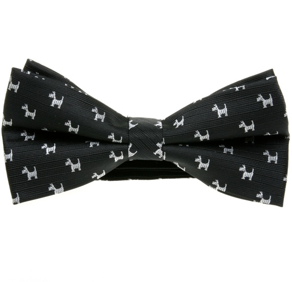 Black Bow Tie with White Schnauzer